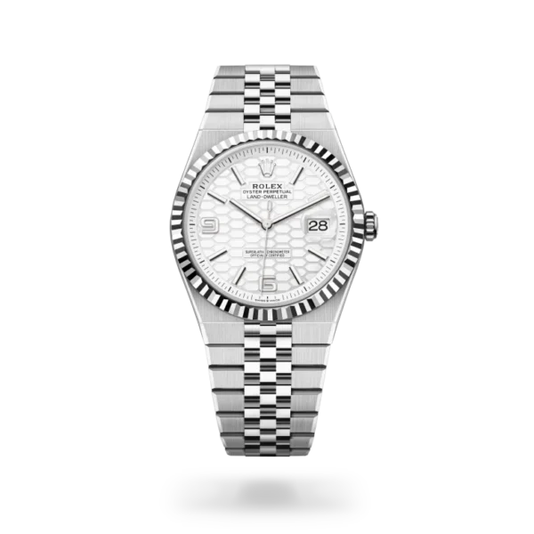 Rolex Land-Dweller in White Rolesor