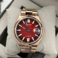 Citizen Tsuyosa NJ0151-88X