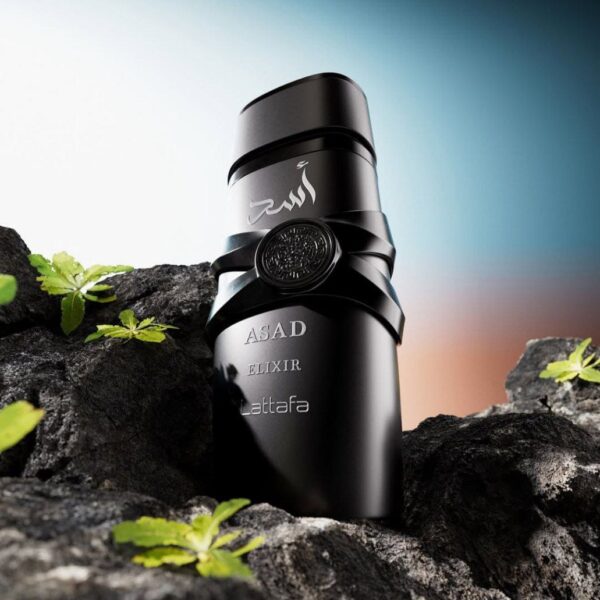 Asad Elixir (100ml) Eau De Parfum by Lattafa